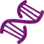 dna helix