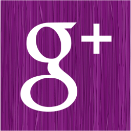 google plus 2 icon