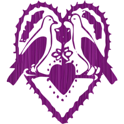 heart 65 icon