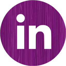 linkedin 4 icon