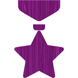 medal icon