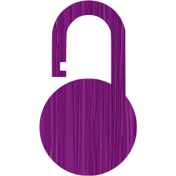 padlock 8 icon