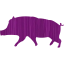 pig 10