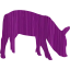 pig 2
