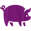 pig