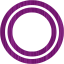 plasmid