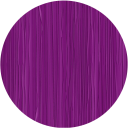 record icon