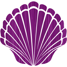 seashell 2 icon