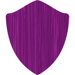 shield icon