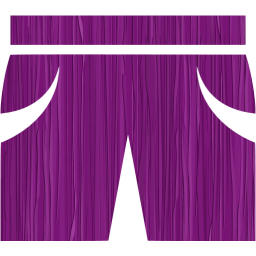 shorts icon
