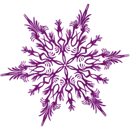 snowflake 41 icon