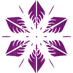 snowflake 5 icon