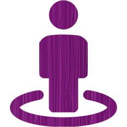 street view icon