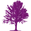 tree 18