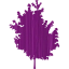 tree 25