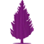 tree 55