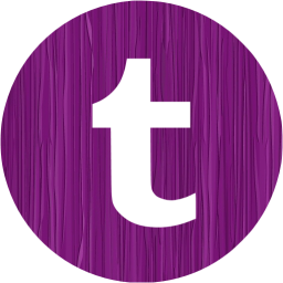 tumblr 4 icon