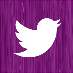 twitter 2 icon