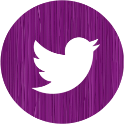 twitter 4 icon