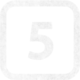 5 icon