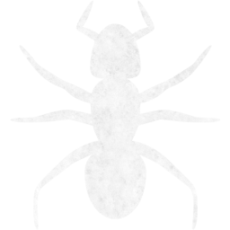 ant 3 icon