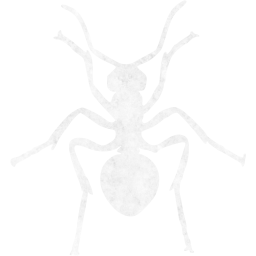 ant icon