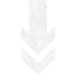 arrow 202 icon
