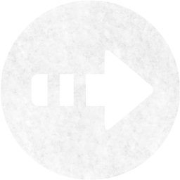 arrow right 5 icon