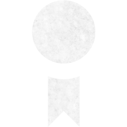 badge 2 icon