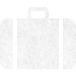 baggage icon