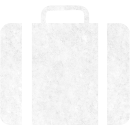 briefcase icon