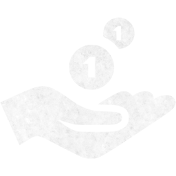 cash receiving icon