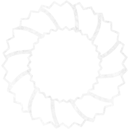 christmas 14 icon