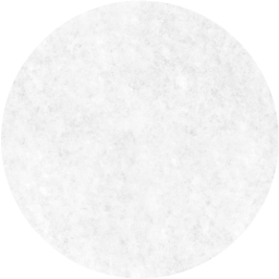 circle icon