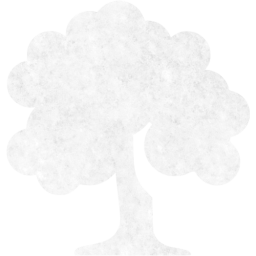 deciduous tree icon