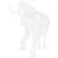 elephant 2