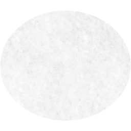 ellipse icon