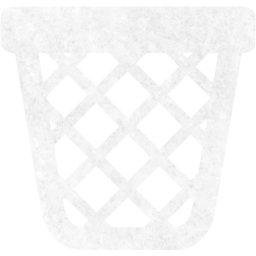 empty trash icon