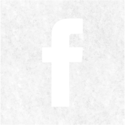 facebook 2 icon