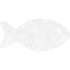 fish 8