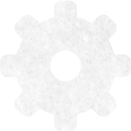 gear 2 icon