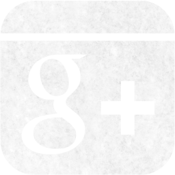 google plus 6 icon