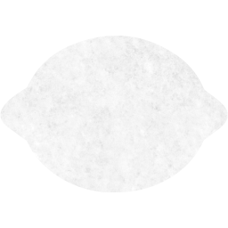 lemon icon