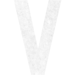 letter v icon
