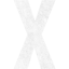 letter x