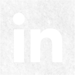 linkedin 2 icon