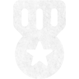 medal 3 icon