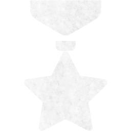 medal icon