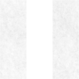 media pause icon