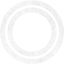 plasmid
